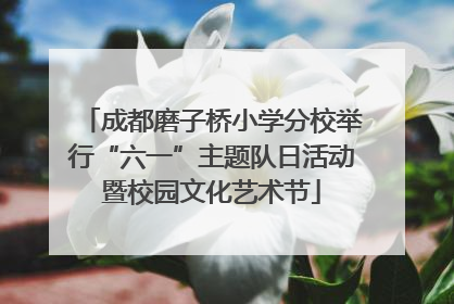 成都磨子桥小学分校举行“六一”主题队日活动暨校园文化艺术节