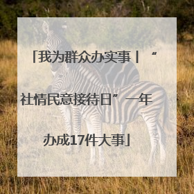 我为群众办实事丨“社情民意接待日”一年办成17件大事