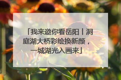 我来邀你看岳阳丨洞庭湖大桥彩绘换新颜，一城湖光入画来