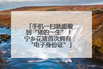 手机一扫就能看到“猪的一生”！宁乡花猪首次拥有“电子身份证”