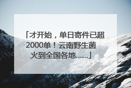才开始，单日寄件已超2000单！云南野生菌火到全国各地……