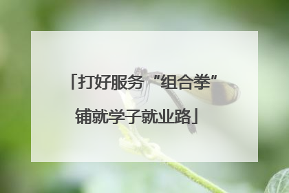 打好服务“组合拳” 铺就学子就业路