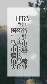 打造 “中国药谷”，驻马店市市长诚邀长三角高精尖企业入驻