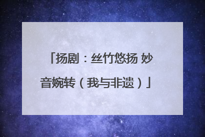 扬剧：丝竹悠扬 妙音婉转（我与非遗）