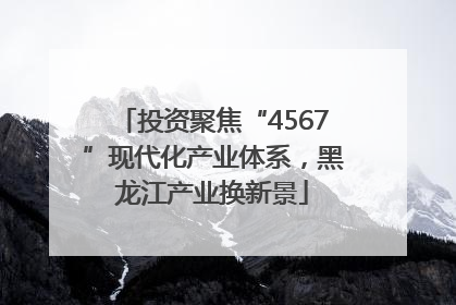 投资聚焦“4567”现代化产业体系，黑龙江产业换新景