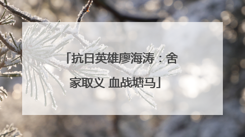 抗日英雄廖海涛：舍家取义 血战塘马