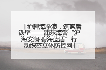 护碧海净浪，筑蓝盾铁壁——浦东海警“沪海安澜·碧海蓝盾”行动织密立体防控网
