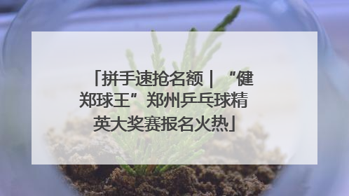 拼手速抢名额｜“健郑球王”郑州乒乓球精英大奖赛报名火热