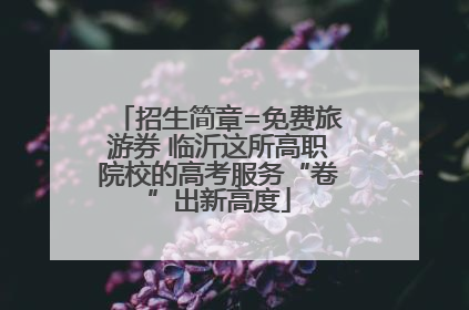 招生简章=免费旅游券 临沂这所高职院校的高考服务“卷”出新高度