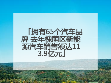 拥有65个汽车品牌 去年槐荫区新能源汽车销售额达113.9亿元