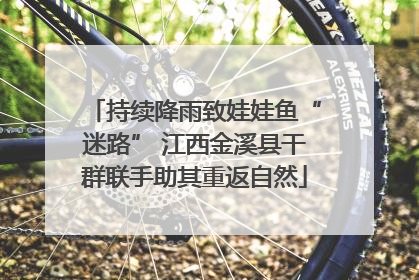 持续降雨致娃娃鱼“迷路” 江西金溪县干群联手助其重返自然