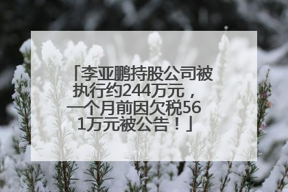 李亚鹏持股公司被执行约244万元，一个月前因欠税561万元被公告！