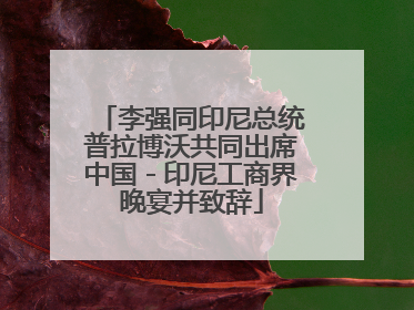 李强同印尼总统普拉博沃共同出席中国－印尼工商界晚宴并致辞