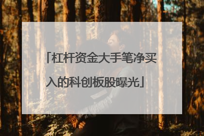杠杆资金大手笔净买入的科创板股曝光