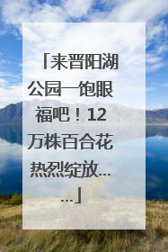 来晋阳湖公园一饱眼福吧！12万株百合花热烈绽放……