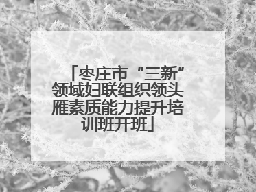 枣庄市“三新”领域妇联组织领头雁素质能力提升培训班开班