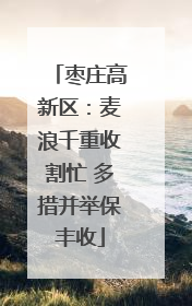 枣庄高新区：麦浪千重收割忙 多措并举保丰收