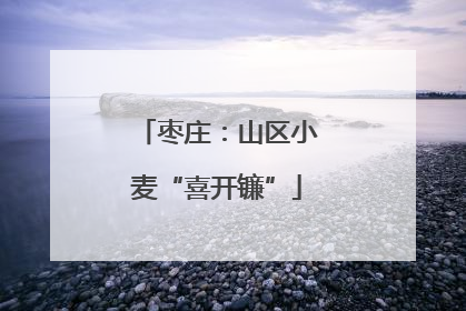枣庄：山区小麦“喜开镰”