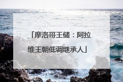 摩洛哥王储：阿拉维王朝低调继承人