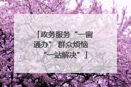政务服务“一窗通办” 群众烦恼“一站解决”