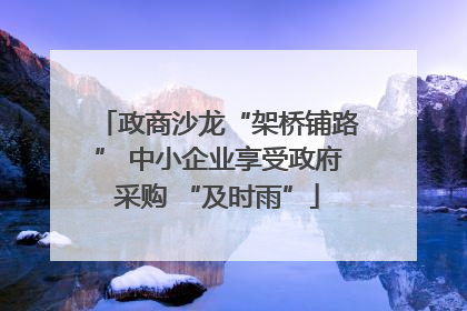 政商沙龙“架桥铺路” 中小企业享受政府采购 “及时雨”