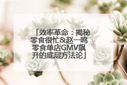 效率革命：揭秘零食很忙&赵一鸣零食单店GMV飙升的底层方法论