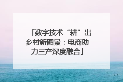 数字技术“耕”出乡村新图景：电商助力三产深度融合