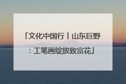 文化中国行丨山东巨野：工笔画绽放致富花