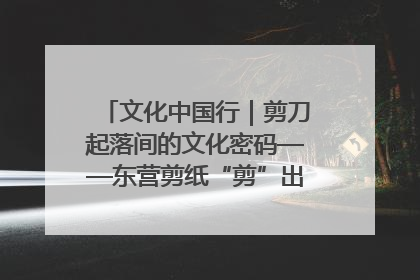 文化中国行｜剪刀起落间的文化密码——东营剪纸“剪”出非遗传承与现代生活的融合之道