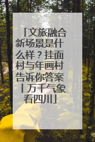文旅融合新场景是什么样？挂面村与年画村告诉你答案丨万千气象看四川