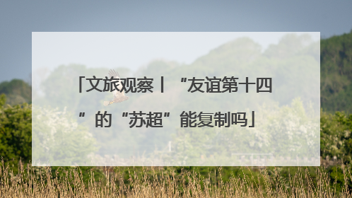 文旅观察丨“友谊第十四”的“苏超”能复制吗