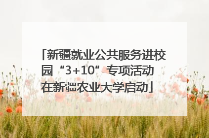 新疆就业公共服务进校园“3+10”专项活动在新疆农业大学启动