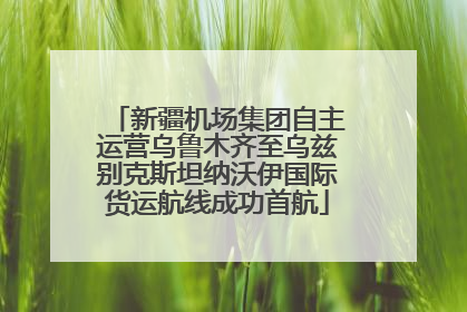 新疆机场集团自主运营乌鲁木齐至乌兹别克斯坦纳沃伊国际货运航线成功首航