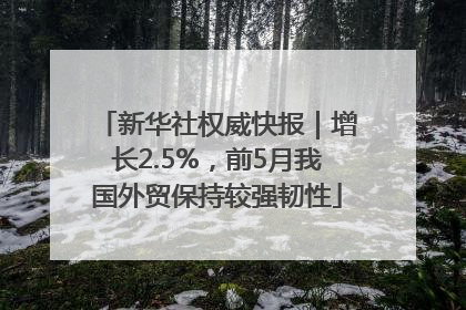 新华社权威快报｜增长2.5%，前5月我国外贸保持较强韧性