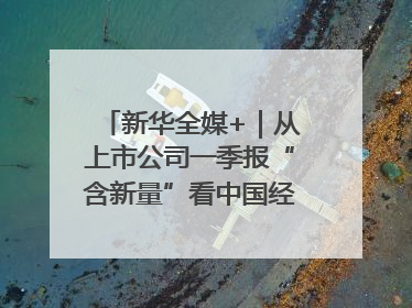 新华全媒+｜从上市公司一季报“含新量”看中国经济发展向“新”