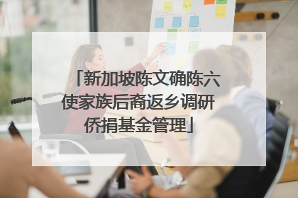 新加坡陈文确陈六使家族后裔返乡调研侨捐基金管理