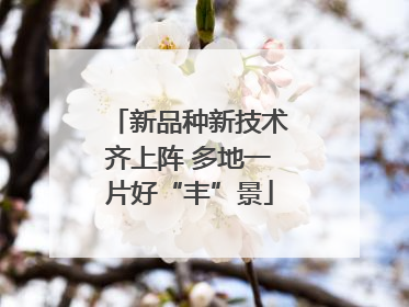 新品种新技术齐上阵 多地一片好“丰”景