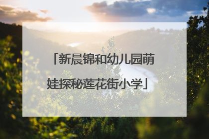 新晨锦和幼儿园萌娃探秘莲花街小学