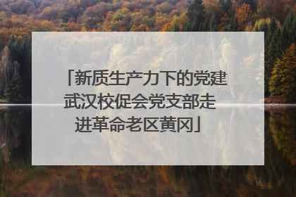 新质生产力下的党建 武汉校促会党支部走进革命老区黄冈