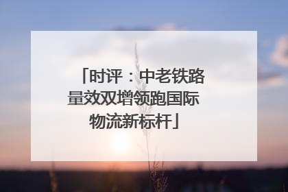 时评：中老铁路量效双增领跑国际物流新标杆