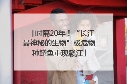 时隔20年！“长江最神秘的生物”极危物种鳤鱼重现赣江