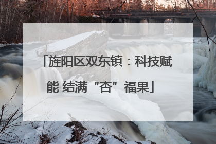 旌阳区双东镇：科技赋能 结满“杏”福果