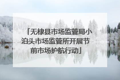 无棣县市场监管局小泊头市场监管所开展节前市场护航行动