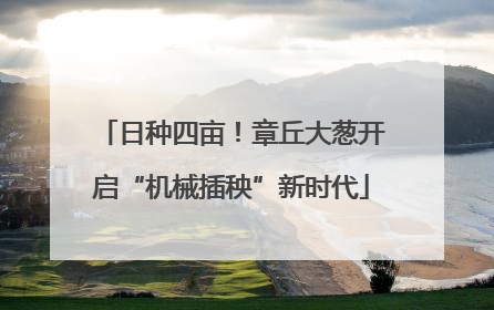 日种四亩！章丘大葱开启“机械插秧”新时代