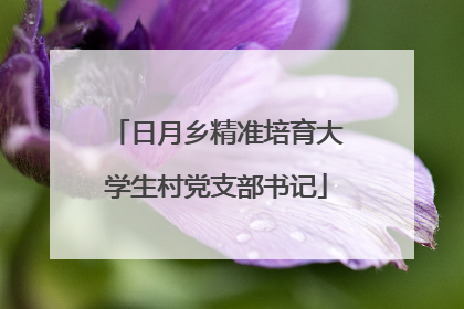 日月乡精准培育大学生村党支部书记