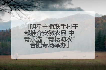 明星主播联手村干部推介安徽农品 中青乐选“青耘助农”合肥专场举办