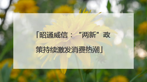 昭通威信：“两新”政策持续激发消费热潮