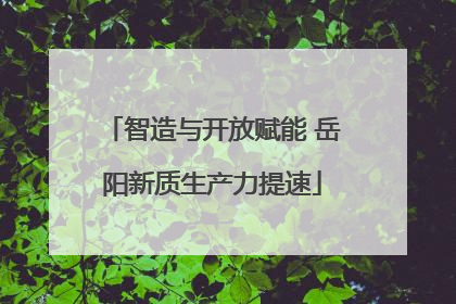 智造与开放赋能 岳阳新质生产力提速