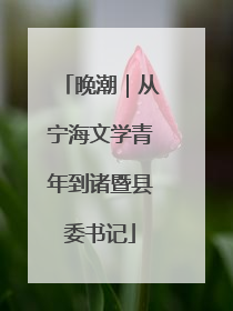 晚潮｜从宁海文学青年到诸暨县委书记