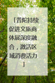 普陀持续促进文旅商体展深度融合，激活区域消费活力